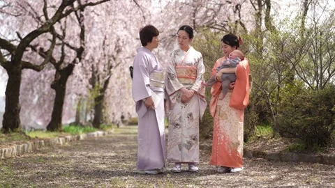 Three women pose together beneath blooming cherry trees Stock Footage 343697770