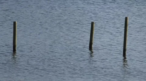 Three wooden posts sticking out of water Stock-Footage 46609325
