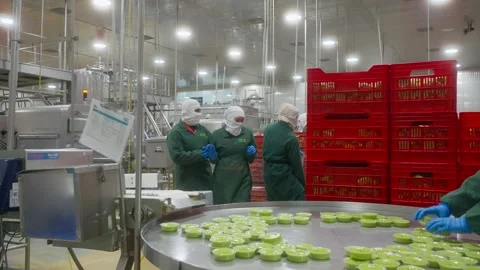 Three workers beside the pulp tub table, Morelia Stock Footage 346959547