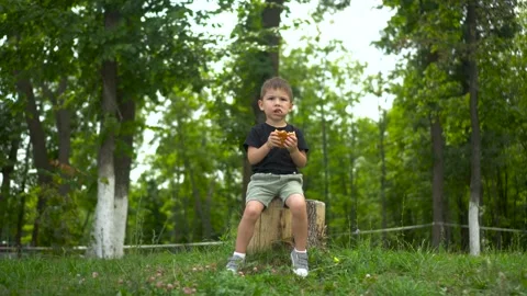 Three year old boy eats cheeseburger sitting on tree stump in park and looks at Stock Footage 322518444