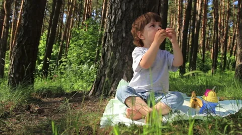 Three year old boy Stock-Footage 51006905