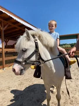 Three-year-old boy riding a pony. 写真素材