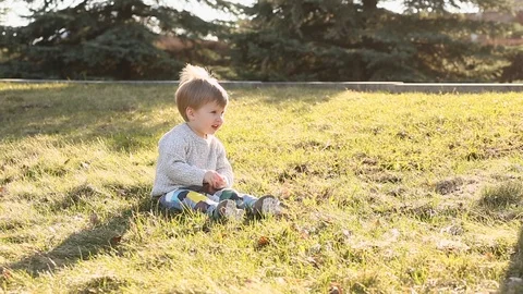 Three years old kid boy playing with his little friend puppy dog red Shiba inu Stock Footage 93437871