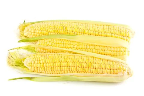 Three yellow corn on the cob Stock Photos