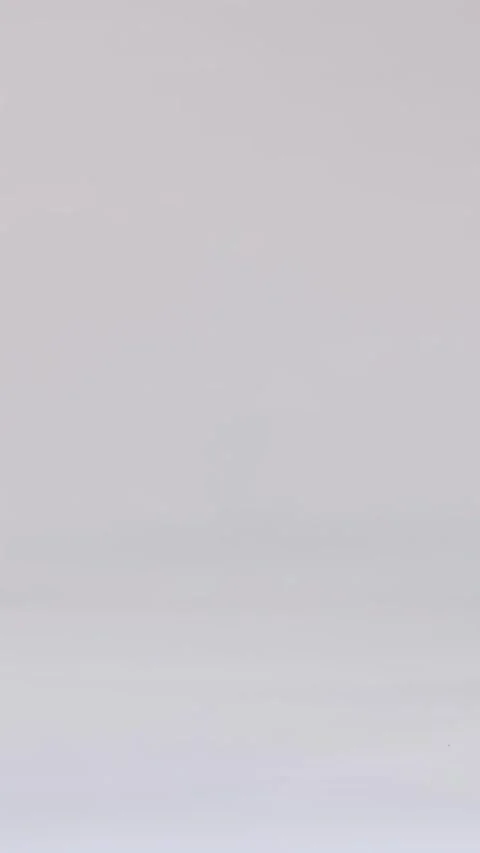 Three Yellow Pickleball Balls Falling and Bouncing on White Background 스톡 동영상 328560541