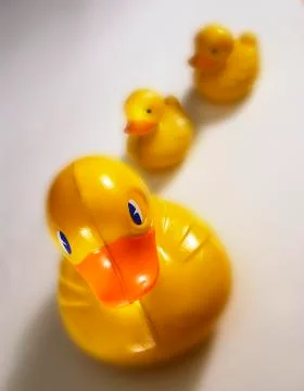 THREE YELLOW PLASTIC DUCKS Stock Photos