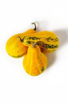 Three yellow pumpkins isolated on white background. Autumn vegetable harvest. Stock Photos