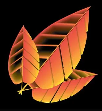 Three yellow tree wilted leaf against a black background Stock Illustration