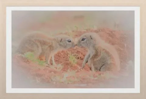 Three young cats cuddling on a soft pink blanket Stock Illustration