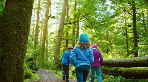 Three young children go for a walk down a green forrest path Video stock 33893070