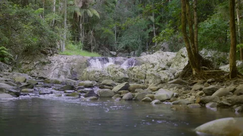 Three young ethnically diverse friends walk along the rocky bank of a stream in Video stock 199462367
