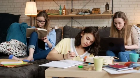 Three young female student study together being serious and concentrated Stock Footage 75963586
