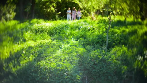 Three young girls walking through a sunny green field by a rapid forest river.  Stock-Footage 337136099