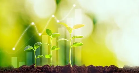Three young green plants growing at sunlight Environment technology Green pl Stock Illustration