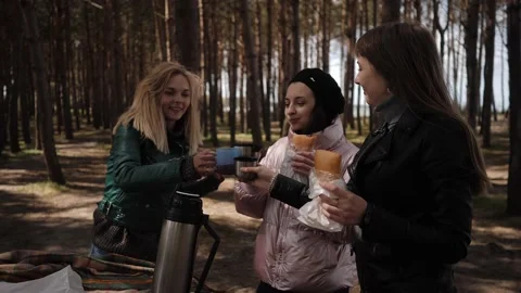 Three young women drinking tea on a picnic in the woods Stock Footage 131009714