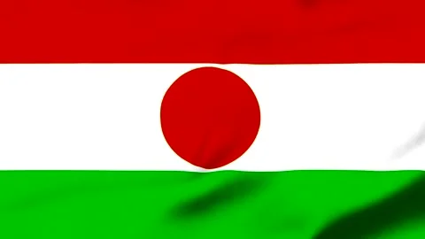 Threecolor flag with red circle in center waving in wind 库存影片 343317501