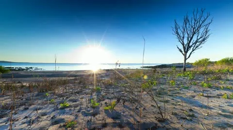 THREE.mp4 Stock Footage 12663661