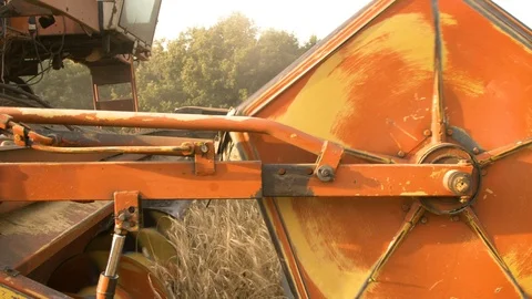 Thresher machine blades workign in golden wheat field. Thresher close-up farming Stock Footage 119867430