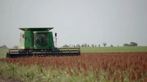 Thresher, or threshing machine, on a farm field, landscape shot Stock Footage 162455232