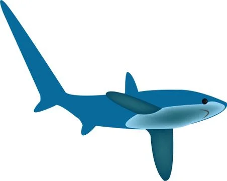 Thresher shark Stockillustratie