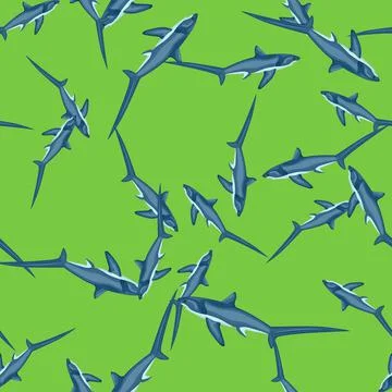 Thresher shark seamless pattern in scandinavian style. Marine animals backgro Stock Illustration