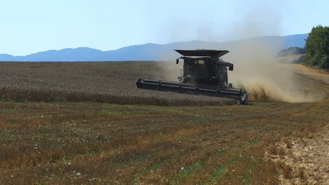 Thresher; Trebbiatrice Stock Footage 128819003