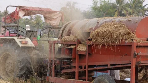 Thresher is used for separating grains Stock Footage 311729928