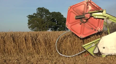 Threshing cereal ears Stock Footage 59086031