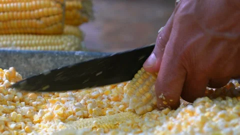 Threshing Corn 4K Video stock 119890156