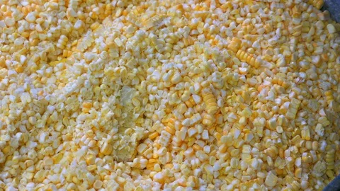 Threshing Corn 4K Stock Footage 119890507