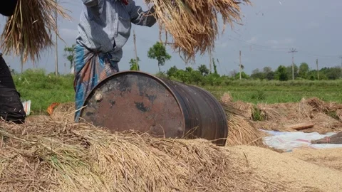 Threshing Drum Vídeo Stock 335218855