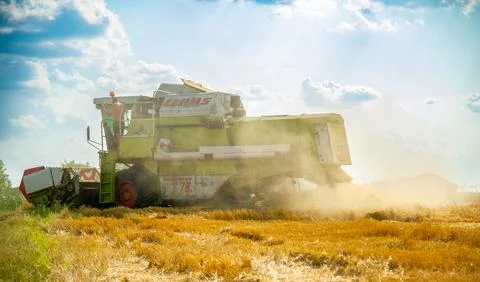 Threshing machine on the field Stock Photos