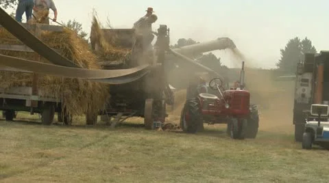 Threshing Machine Vidéo 22154509