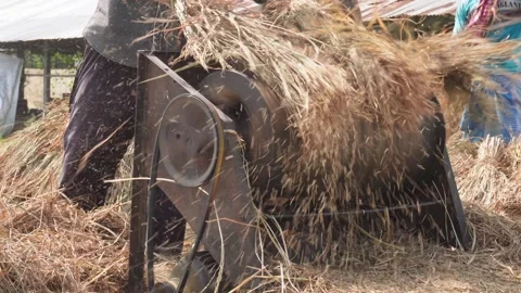 Threshing Machine 库存影片 335219617