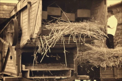 Threshing Machine in operation Vidéo 67697259