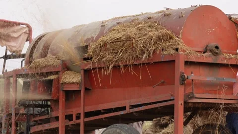 Threshing Machine Processing Straw Stock-Footage 311729787