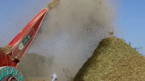 Threshing rice crop blowing away the rice hay or rice straws Stock Footage 219769078