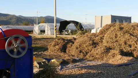 Threshing soybean mechanical method working in asia Stock Footage 162636120