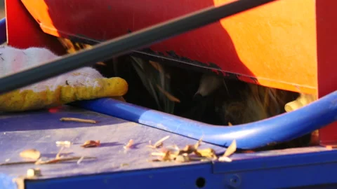 Threshing soybean mechanical method working in asia Vidéo 162636246