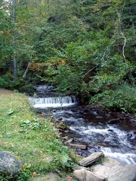 Threshold of a mountain river with a small waterfall among green trees Stock Photos
