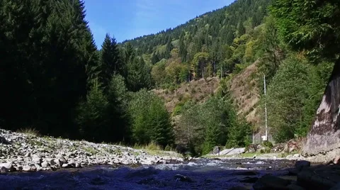 Thresholds Of The Beautiful Mountain River Against The Wood Stock Footage 68844880