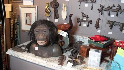 Thrift store items Video stock 171341136