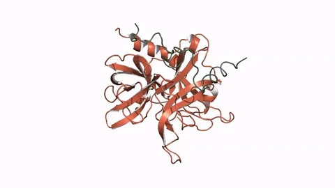 Thrombin protein, rotating model 스톡 동영상 83653220