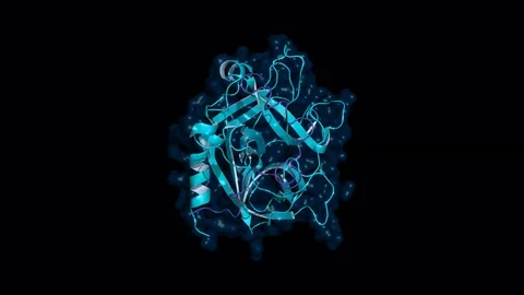 Thrombin protein, rotating model Stock Footage 83653222