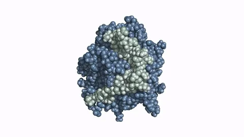 Thrombin protein, rotating space-filling model Stock Footage 83653391