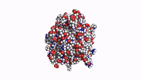 Thrombin protein, rotating space-filling model Stock Footage 83653399