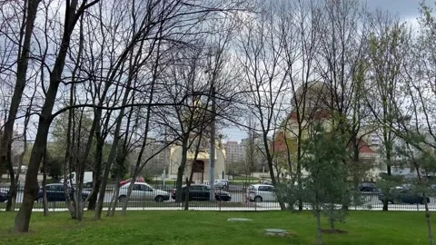 Through the bare branches of trees temples and a road with cars are visible. Stock Footage 238557830