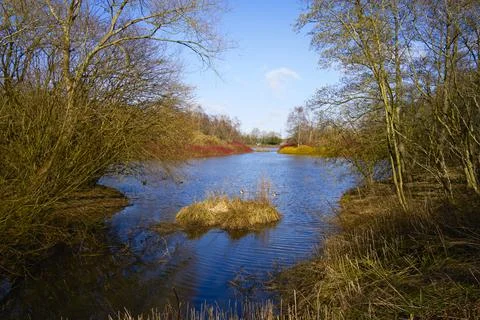 Through bare trees, down the rippled water of a large lake Foto stock