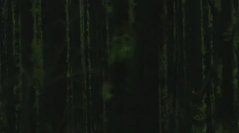 Through dark woods Stock Footage 52594411