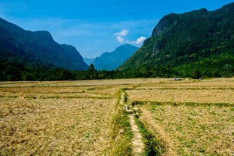 Through the fields Stock Photos